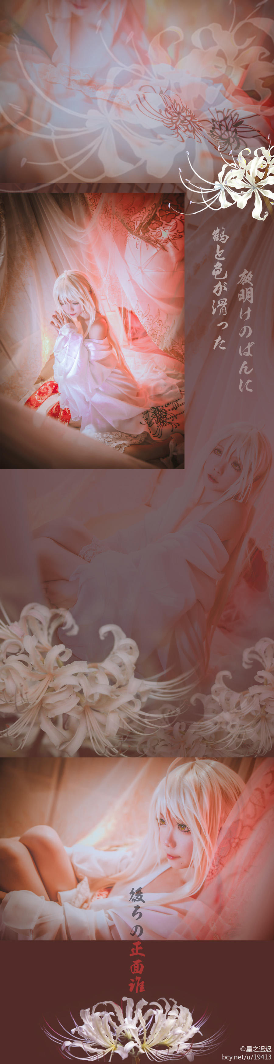 Star's Delay to December 22, Coser Hoshilly BCY Collection 8(43)